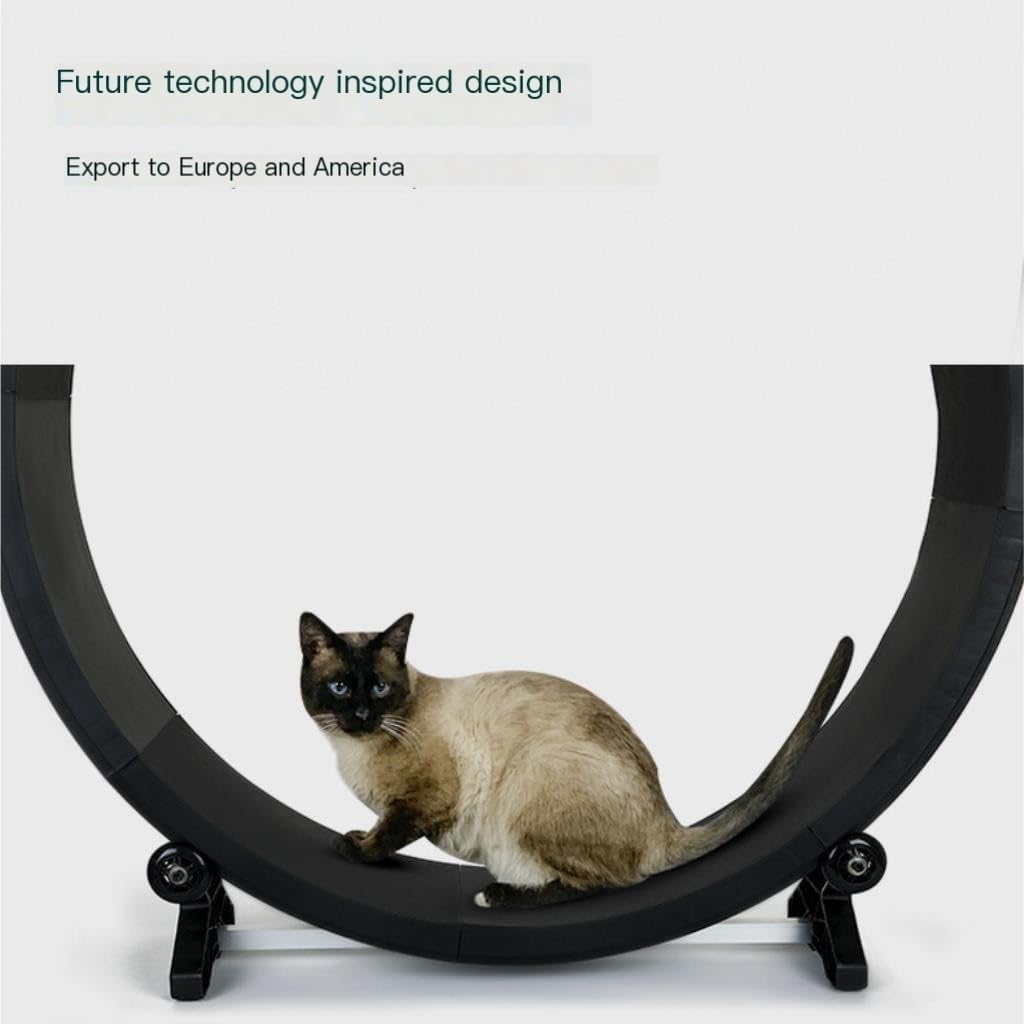 猫回し車 猫用トレッドミル、猫用ランニングホイール、スポーツ